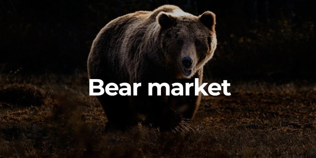 Bear Market, você sabe o que é? - H.Pro