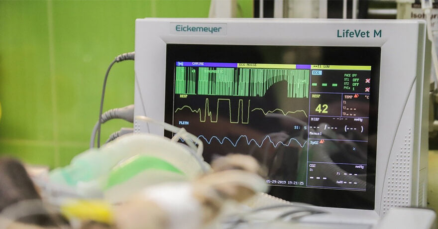 Diagnóstico de insuficiência cardíaca pode ser feito por meio de inteligência artificial - H.Pro